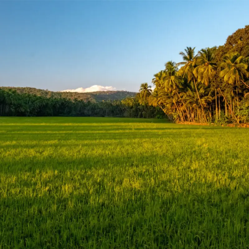 Acron Villas Goa